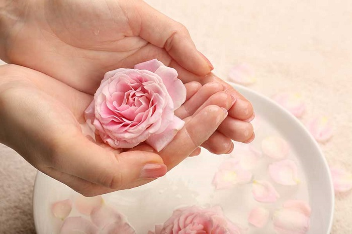 Bạn có thể dùng cánh hoa hồng hoặc nụ hồng để xay nghiền thành bột