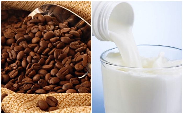 Bã cà phê và sữa tươi giúp cải thiện làn da xỉn màu khô sạm