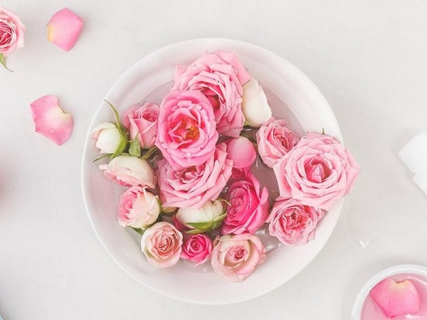 Hoa hồng chứa nhiều vitamin tốt cho da nên có thể sử dụng để xông mặt