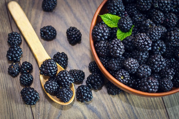 Mâm xôi đen là loại quả mọng chứa hàm lượng dinh dưỡng dồi dào tốt cho sức khỏe và sắc đẹp làn da ở con người